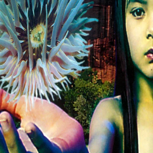Lifeforms - Album Cover