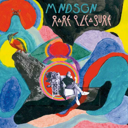 Rare Pleasure - Album Cover