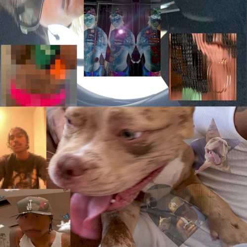 The Lo-Fis - Album Cover